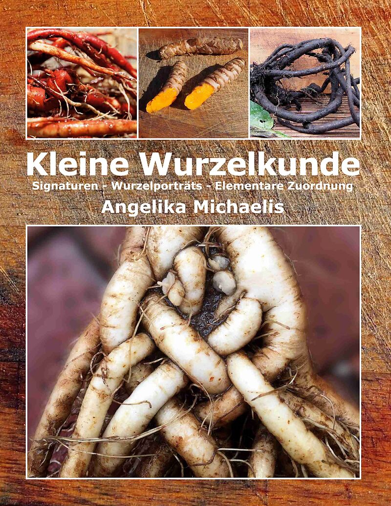 Kleine Wurzelkunde