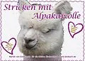 E-Book (epub) Stricken mit Alpakawolle von Marion Von Gratkowski