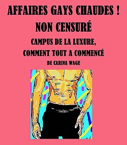 eBook (epub) Affaires gays chaudes ! Non censuré de Carina Wage