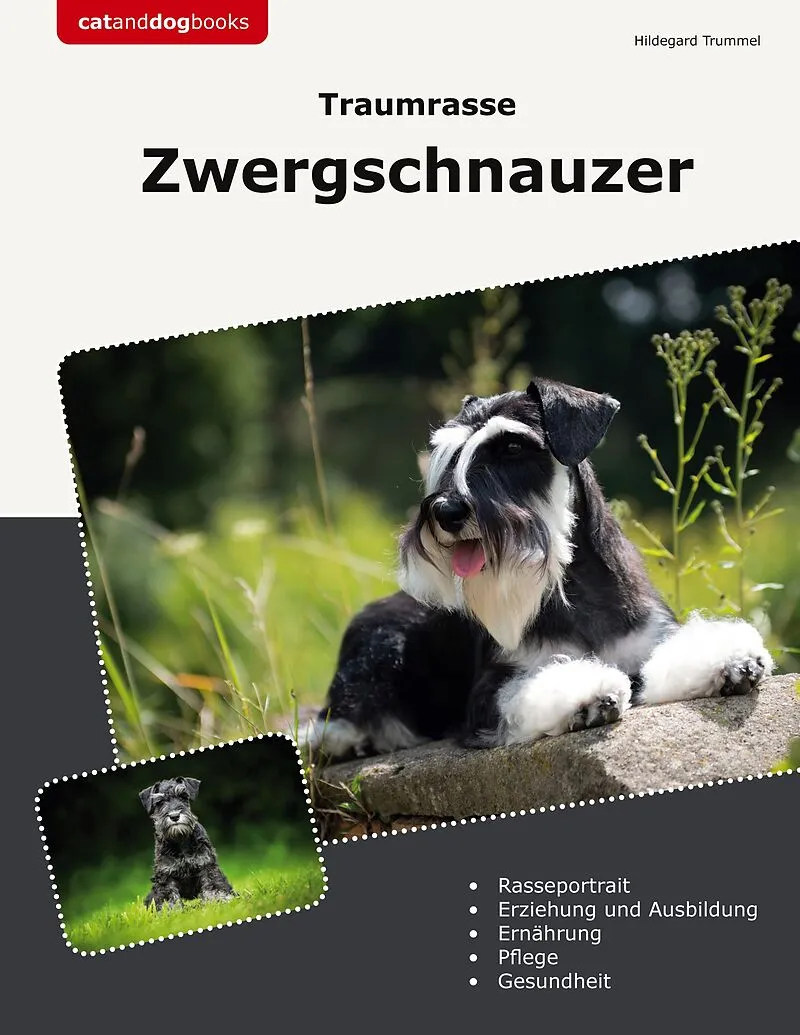 Traumrasse Zwergschnauzer
