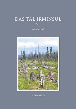 Kartonierter Einband Das Tal Irminsul von Martin Welsch