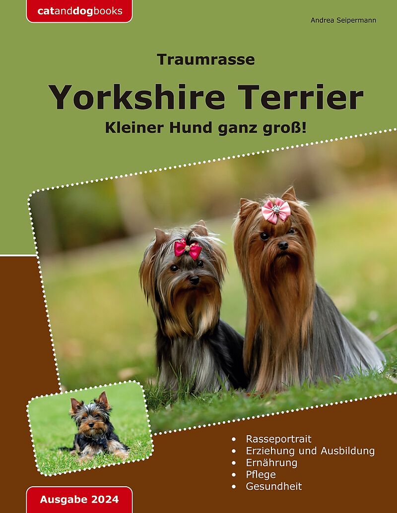Traumrasse: Yorkshire Terrier