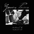 E-Book (pdf) Growing Pains von Caroline Ida Schmidt