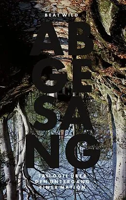 E-Book (epub) Abgesang von Beat Wild