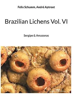 E-Book (epub) Brazilian Lichens Vol. VI von Felix Schumm, André Aptroot