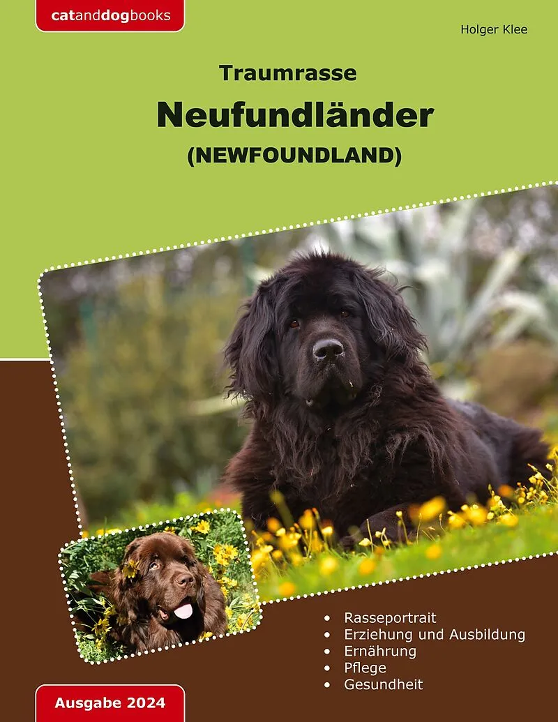 Traumrasse Neufundländer