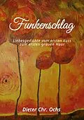 E-Book (epub) Funkenschlag von Dieter Christian Ochs