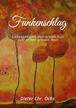 E-Book (epub) Funkenschlag von Dieter Christian Ochs