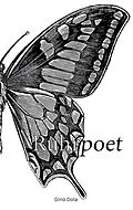 E-Book (epub) Ruhrpoet von Gino Dola