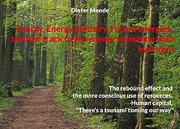 eBook (epub) Energy Energy industry Future energies, the fast track to the energy transition with hydrogen de Dieter Mende