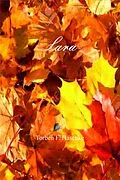 E-Book (epub) Lara von Torben Haschke