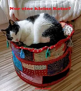 E-Book (epub) Nur eine kleine Katze? von Axel Schade