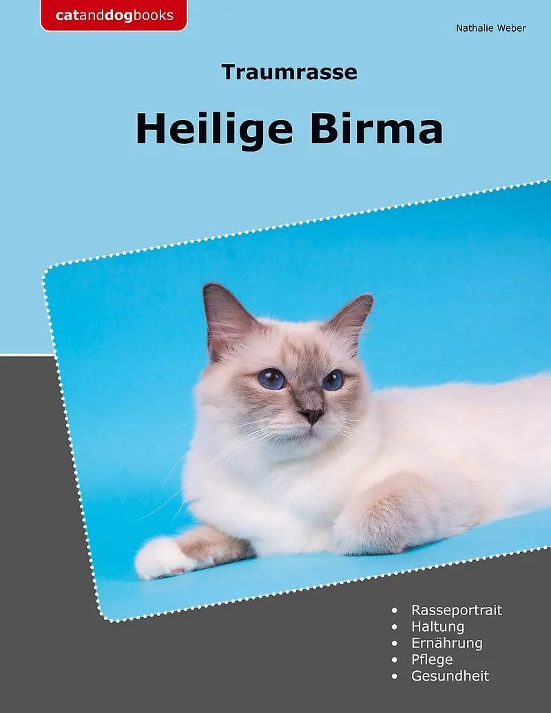 Traumrasse Heilige Birma