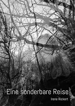 E-Book (epub) Eine sonderbare Reise von Irene Rickert