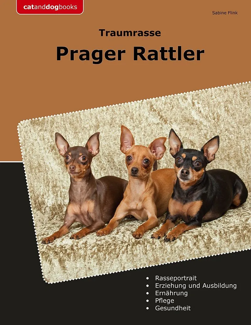 Traumrasse Prager Rattler