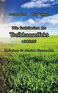 E-Book (epub) Wie funktioniert der Treibhauseffekt wirklich? von Jochen Ebel, Kai Ruhsert