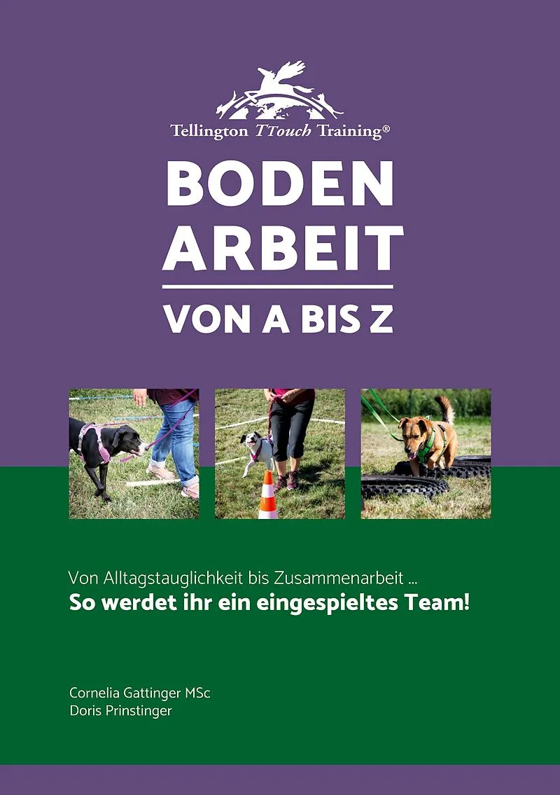 Bodenarbeit von A bis Z