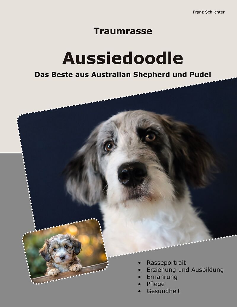 Traumrasse Aussiedoodle