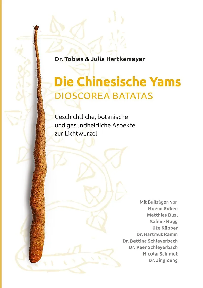 Die Chinesische Yams Dioscorea batatas