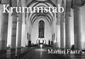 E-Book (epub) Krummstab von Martin Faatz