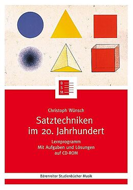 Kartonierter Einband Satztechniken im 20. Jahrhundert von Christoph Wünsch
