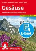 E-Book (epub) Gesäuse (E-Book) von Anna Rauch-Kopetz, Carl Rauch, Heinrich Kopetz