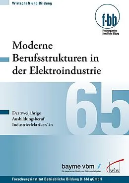 E-Book (pdf) Moderne Berufsstrukturen in der Elektroindustrie von Sylvia Krenn, Felix Stumpf