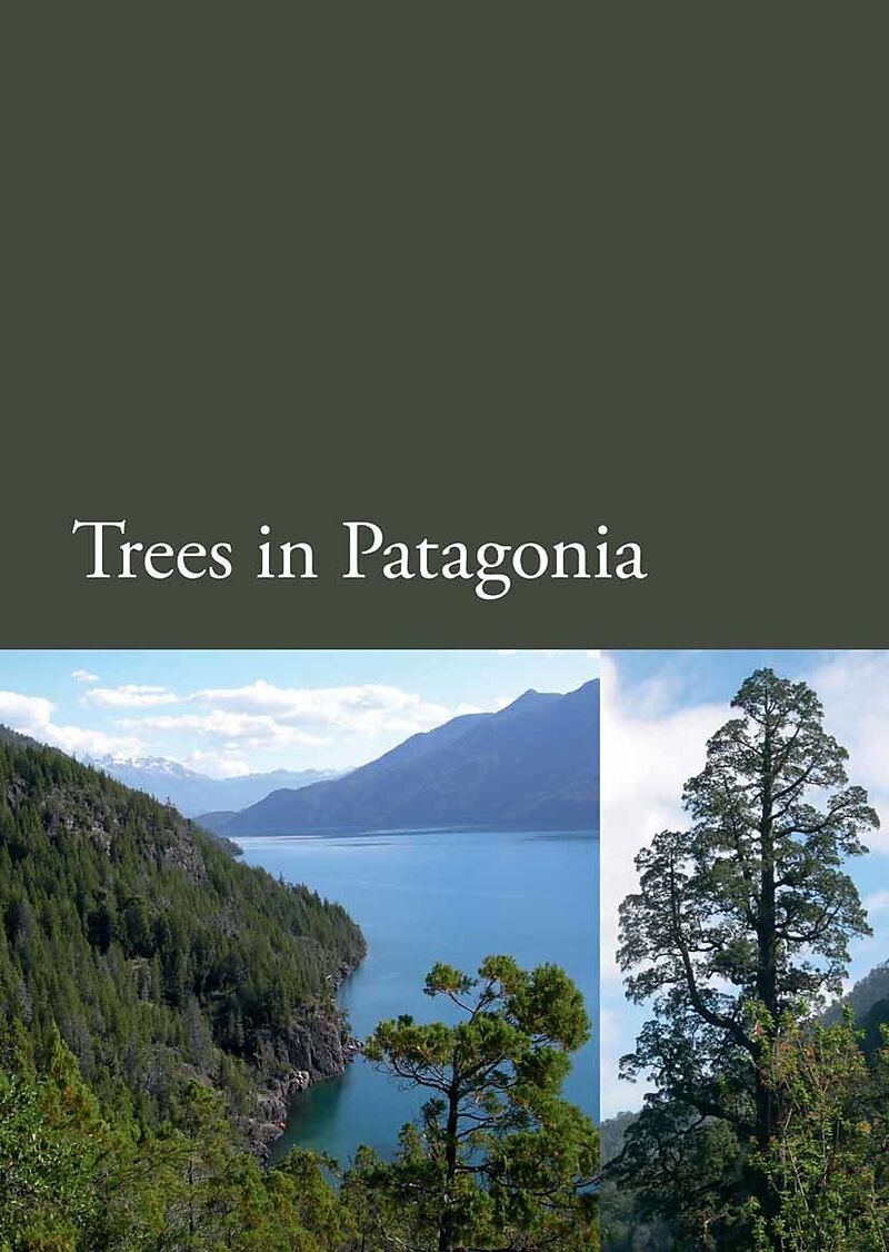 Trees in Patagonia