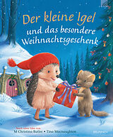 Fester Einband Der kleine Igel und das besondere Weihnachtsgeschenk von M Christina Butler