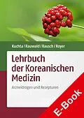 E-Book (pdf) Lehrbuch der Koreanischen Medizin von Kenny Kuchta, Hans Rausch, Hans Wilhelm Rauwald
