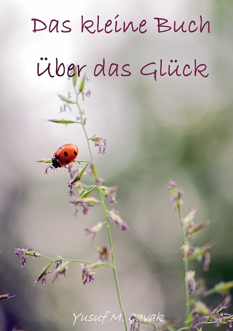 Das kleine Buch über das Glück