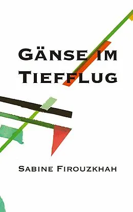 E-Book (epub) Gänse im Tiefflug von Sabine Firouzkhah