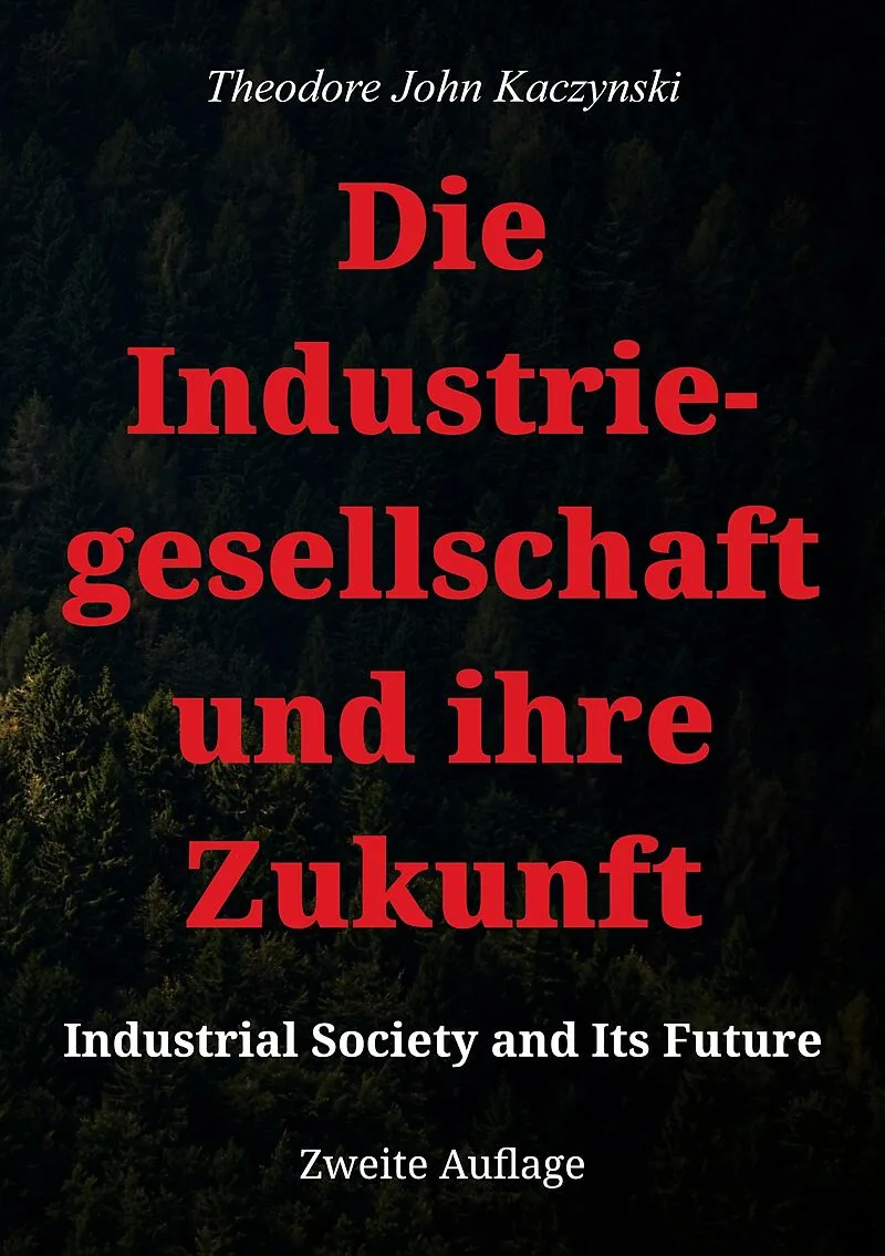 Die Industriegesellschaft und ihre Zukunft