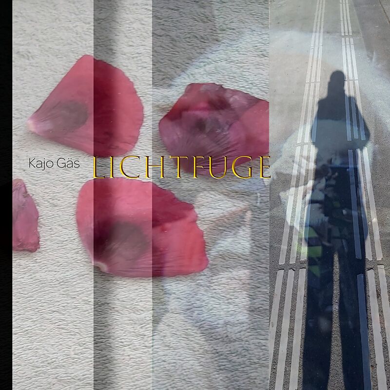 Lichtfuge