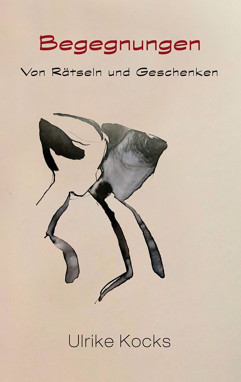 Begegnungen - Von Rätseln und Geschenken
