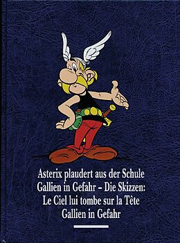 Fester Einband Asterix Gesamtausgabe 12 von René Goscinny, Albert Uderzo