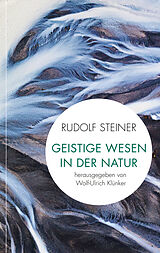 Kartonierter Einband Geistige Wesen in der Natur von Rudolf Steiner