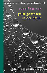 Kartonierter Einband Geistige Wesen in der Natur von Rudolf Steiner