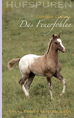 E-Book (epub) Hufspuren: Das Feuerfohlen von Christa Ludwig