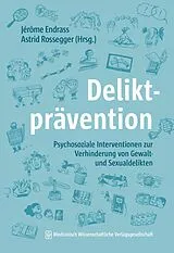E-Book (pdf) Deliktprävention von