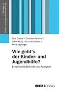 E-Book (pdf) Wie geht's der Kinder- und Jugendhilfe? von Tina Gadow, Christian Peucker, Liane Pluto