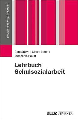 E-Book (pdf) Lehrbuch Schulsozialarbeit von Gerd Stüwe, Nicole Ermel, Stephanie Haupt