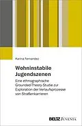 E-Book (pdf) Wohninstabile Jugendszenen: eine ethnographische Grounded-Theory-Studie zur Exploration der Verlaufsprozesse von Straßenkarrieren von Karina Fernandez