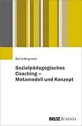 E-Book (pdf) Sozialpädagogisches Coaching - Metamodell und Konzept von Bernd Birgmeier