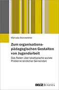 E-Book (pdf) Zum organisationspädagogischen Gestalten von Jugendarbeit von Manuela Brandstetter