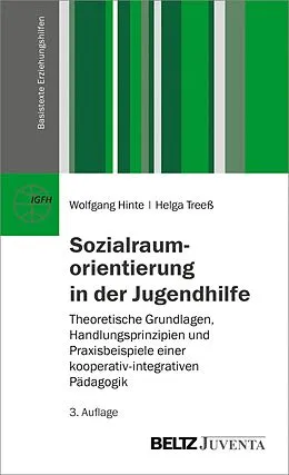 E-Book (pdf) Sozialraumorientierung in der Jugendhilfe von Wolfgang Hinte, Helga Treeß