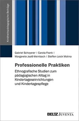 E-Book (pdf) Professionelle Praktiken von Gabriel Schoyerer, Carola Frank, Margarete Jooß-Weinbach
