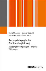 Kartonierter Einband Sozialpädagogische Familienbegleitung von Heinz Messmer, Marina Wetzel, Lukas Fellmann