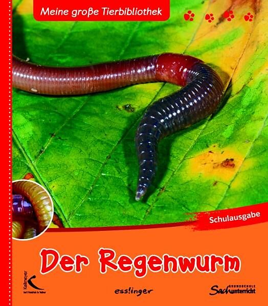 Der Regenwurm Valérie Tracqui Buch kaufen Ex Libris