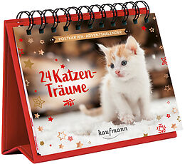 Kalender 24 Katzenträume von Laura Lamping